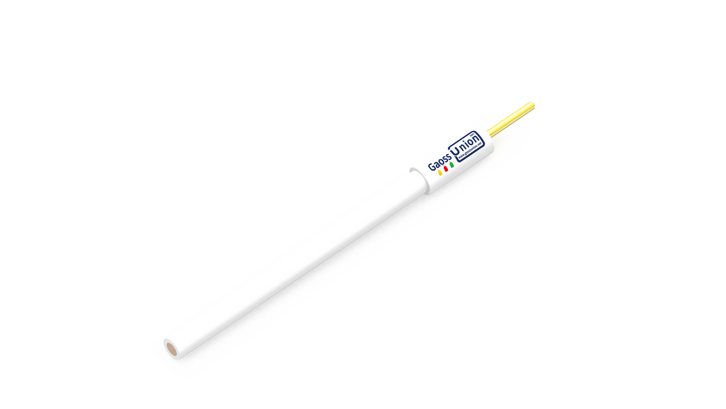 GaossUnion Silver/Silver Chloride AgCl reference electrode, Double Salt Bridge, R8060