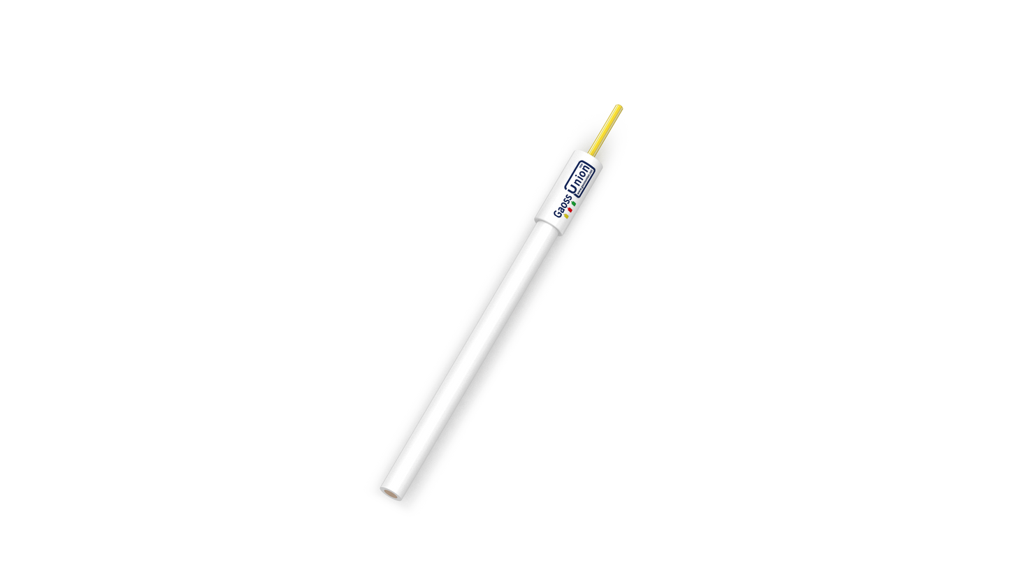 GaossUnion Silver/Silver Chloride AgCl reference electrode, Double Salt Bridge, R8060
